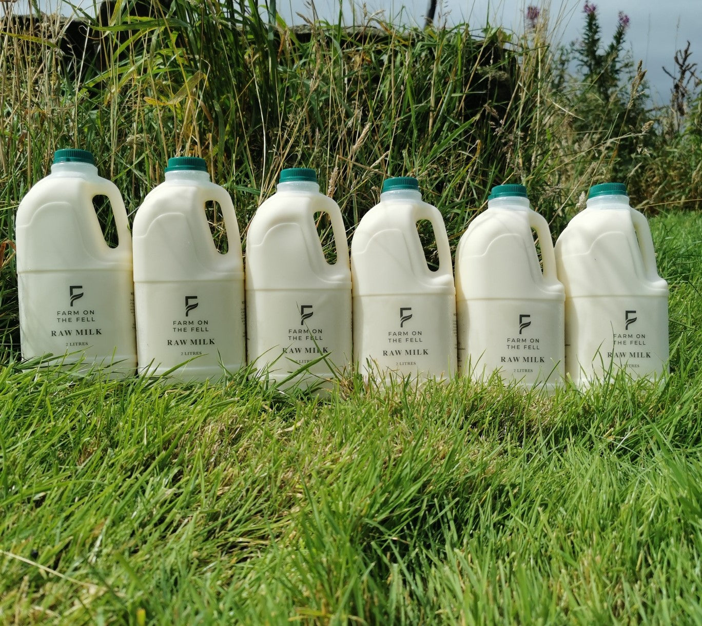 Raw Milk - 12 Litres (6x2ltr) including delivery