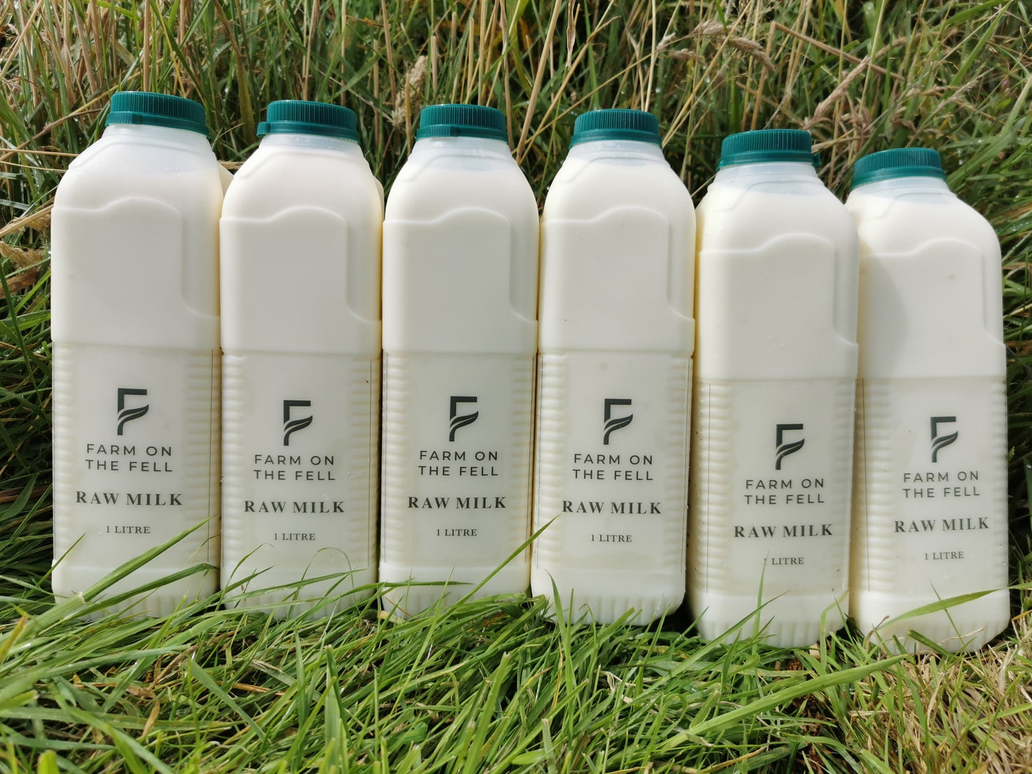 Raw Milk - 6 Litres (6x1 ltr) including delivery